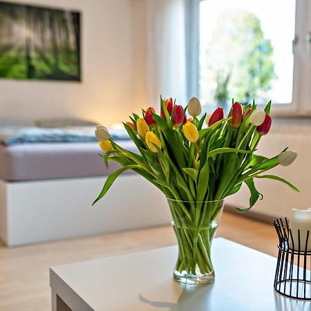Waechtersberg Apartment Wildberg  Ngoại thất bức ảnh
